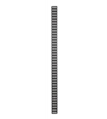 Vertikal Kabelführungsleiste - 42U - 30cm breit